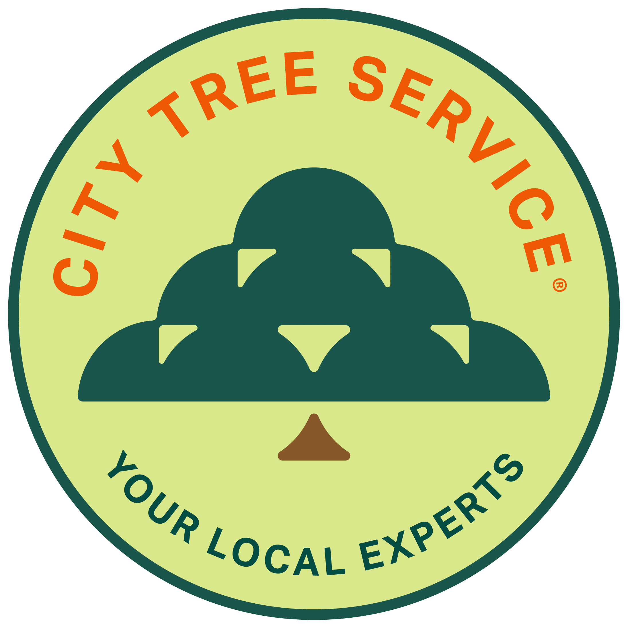 City Tree Service Edmonton Arborists