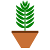 Plant clipart