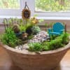 Fairy garden