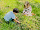 Geneva students revel in our Geneva Method and blossoming Maryland Green School grounds. We always bloom with good ideas.