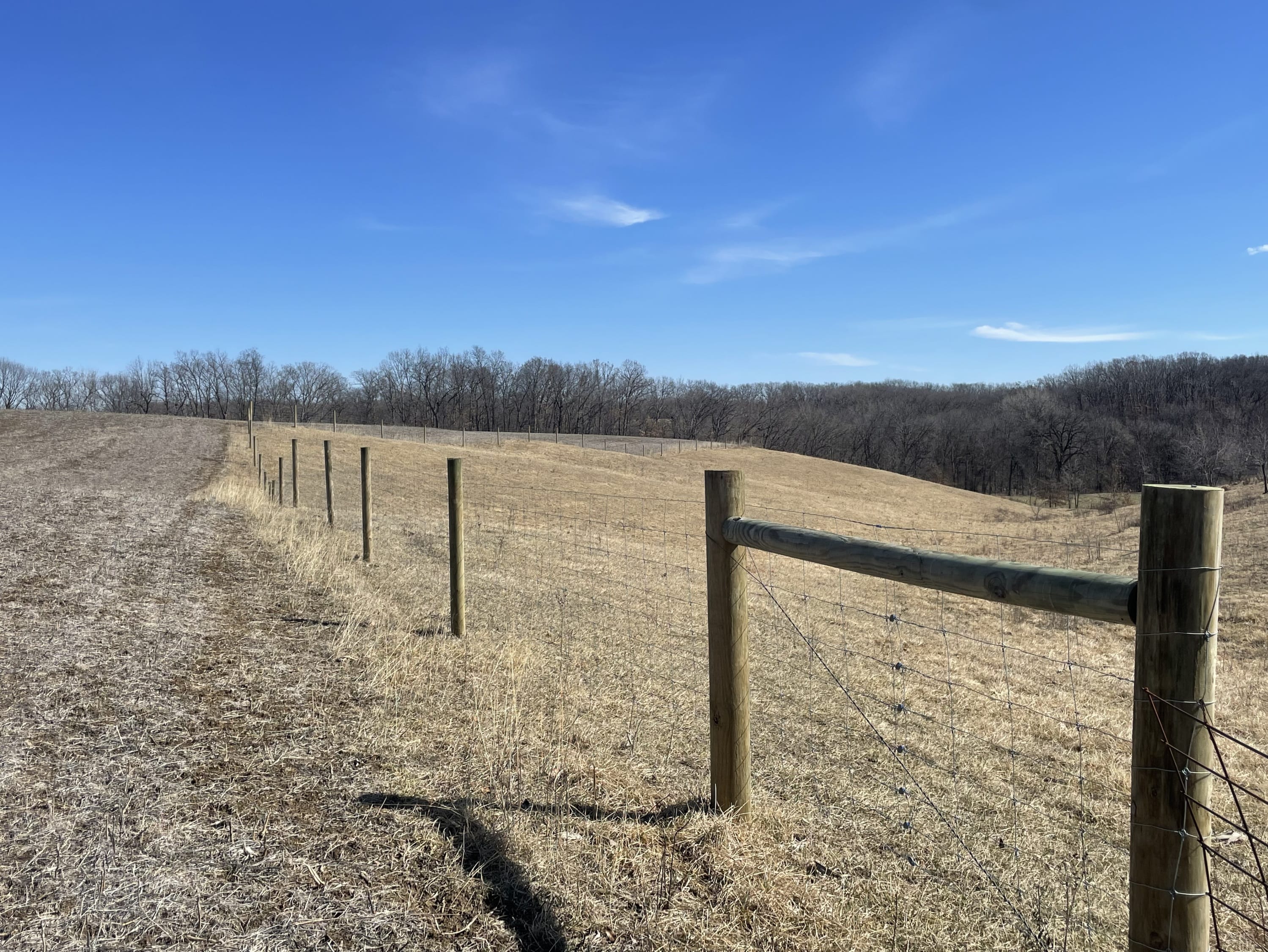 Woven Wire Agriculture Fencing