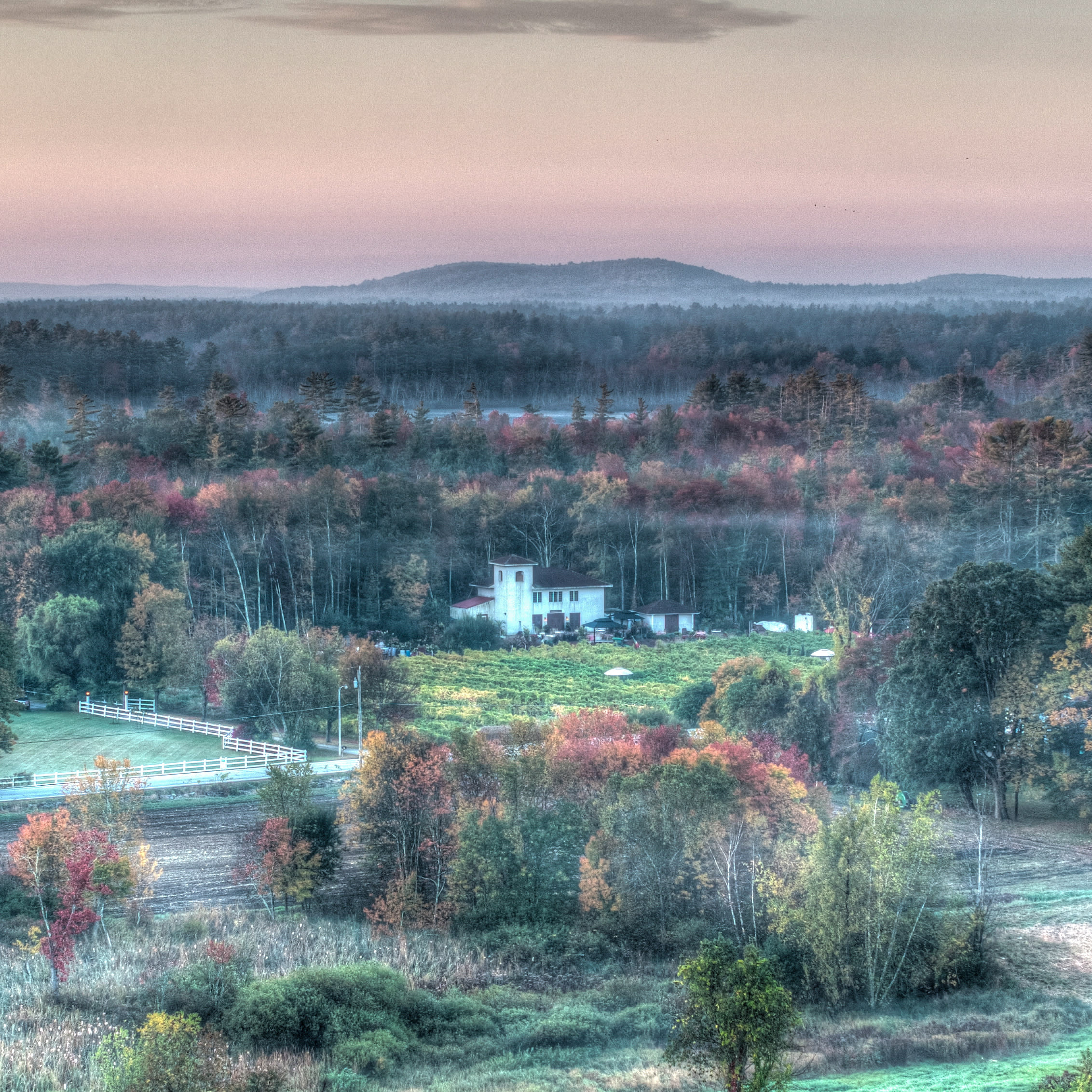 Absolute Imagery - Hollis Vineyard, NH