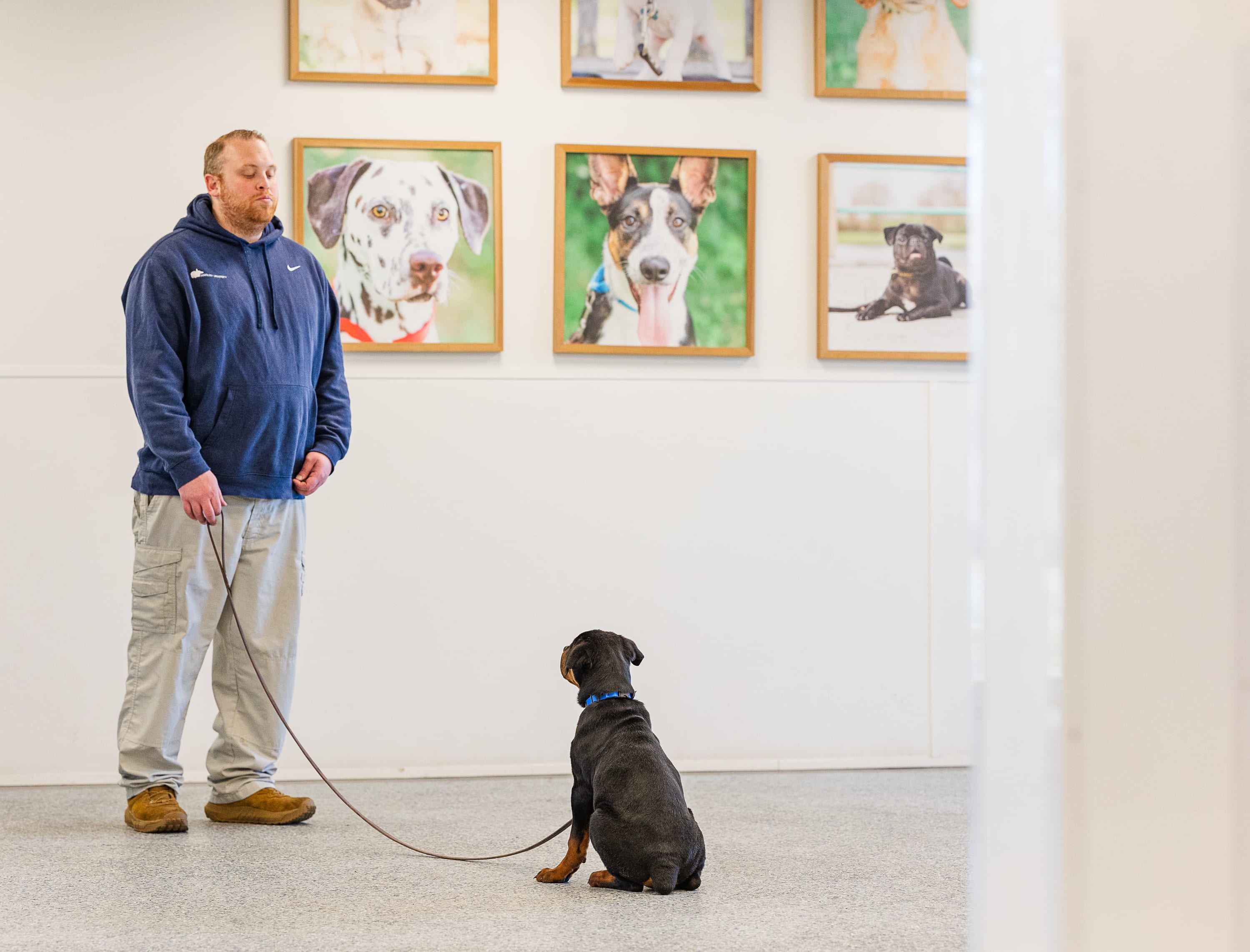 Dog trainer Matthew Lamarand working with a Rottweiler during a focused sit-stay exercise at Dogology University in West Mi