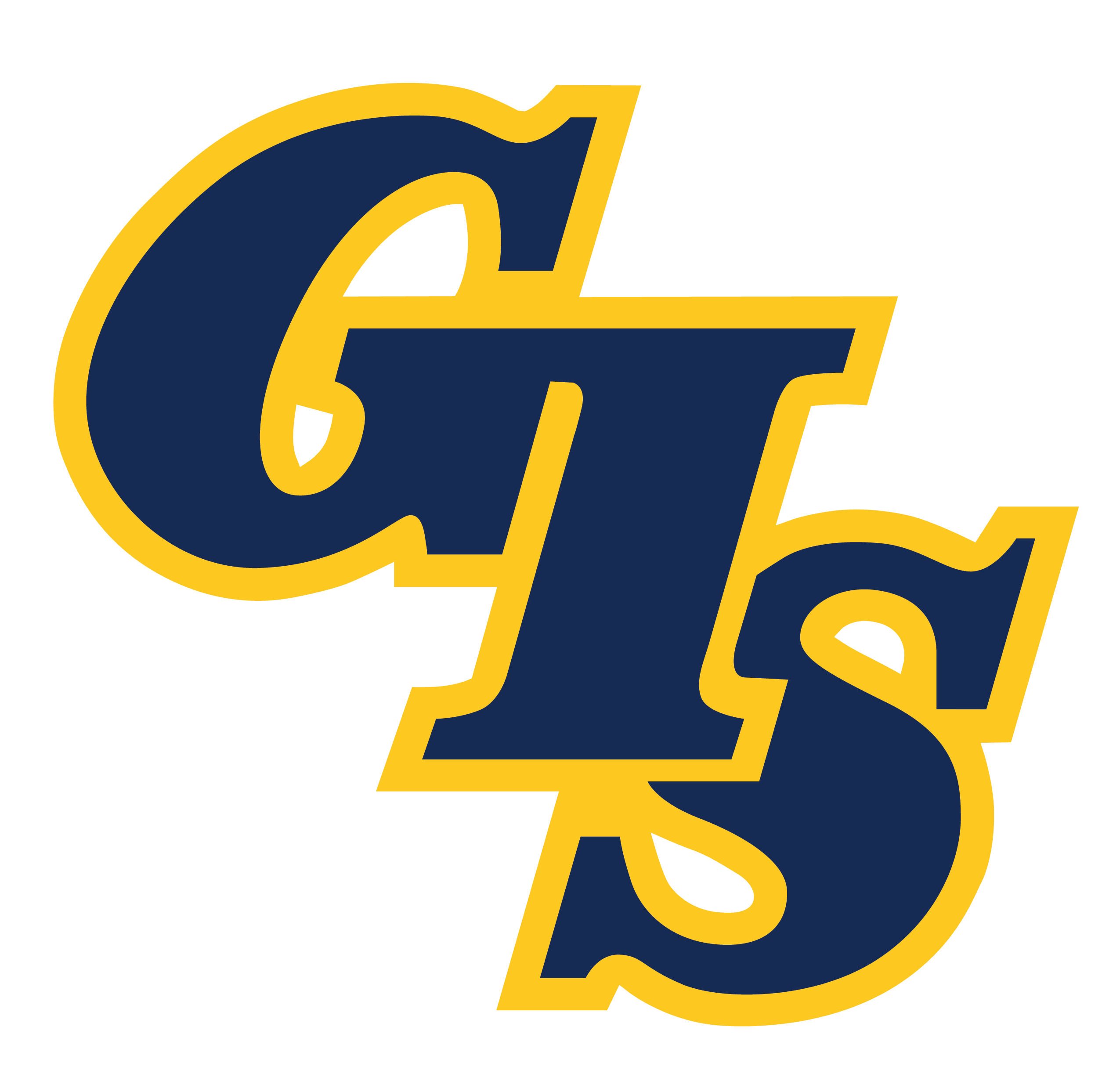 GIS Logo