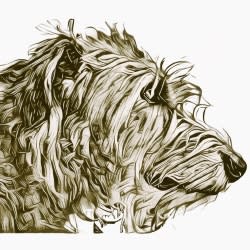 WOLFHOUNDCIS