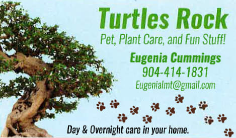 Turtles Rock Business Card
