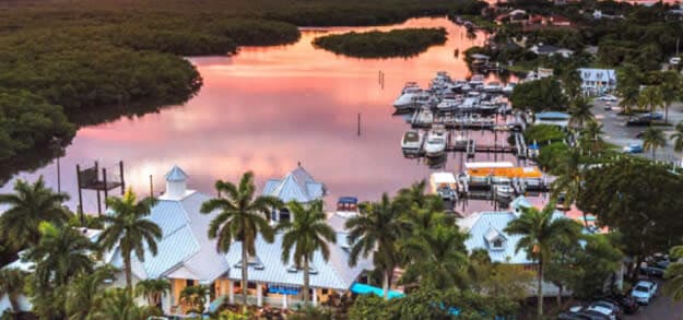 Aerial sunset view of marina with boats docked, waterfront buildings, and palm trees