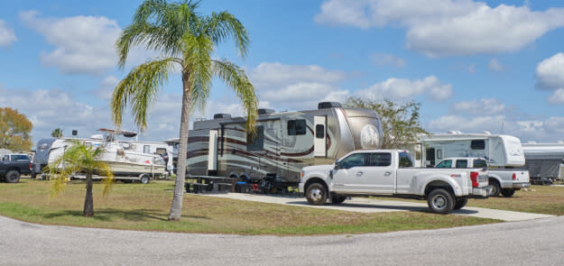 RVs and pickup trucks parked at campground with palm tree under sunny sky.