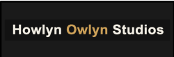 Howlyn Owlyn Studios