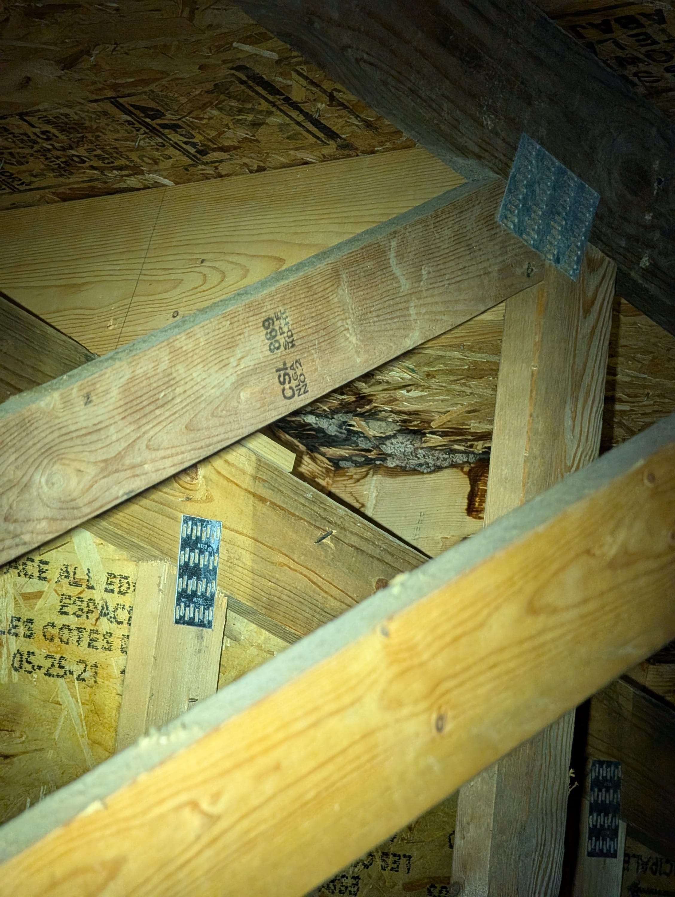 Leak in attic space