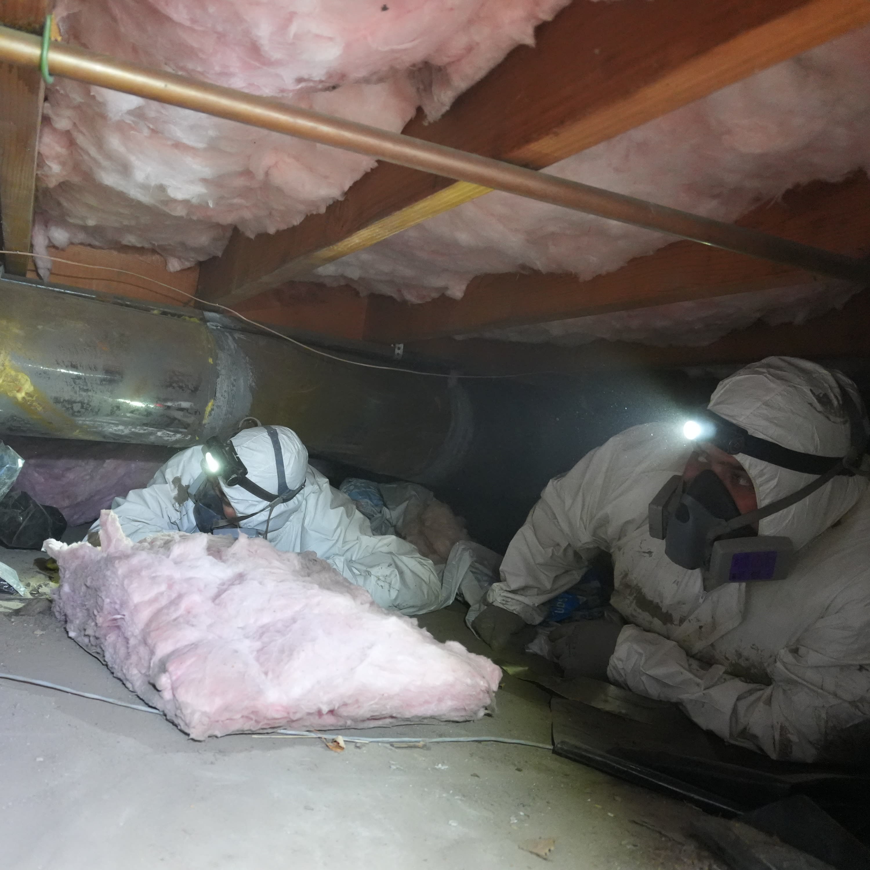 Technician installing insulation between floor joists in a crawl space to improve thermal efficiency.