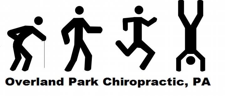 Overland Park Chiropractic logo