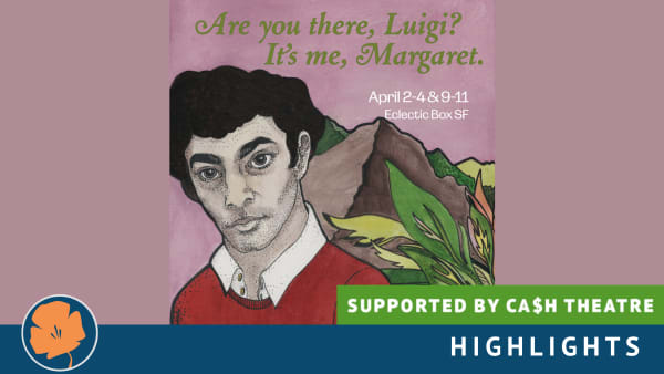 Poster of Luigi Mangione in the style of 70's YA fiction novel covers