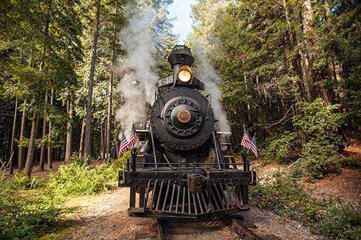 Skunk Train, Willits, CA