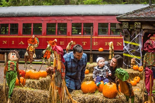 Pumpkin Express-Skunk Train, Willits, CA
