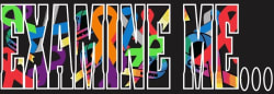 Examine Me ...NFP LOGO