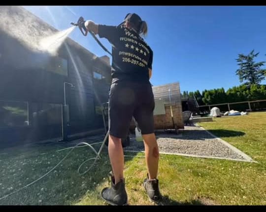 Seattle house washing service removing algae and buildup from residential siding
