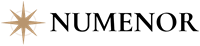Numenor Strategy Logo