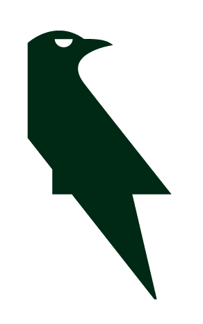 Ravyx