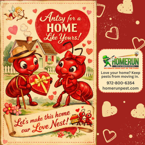 Love your home?  Keep pests from moving in.