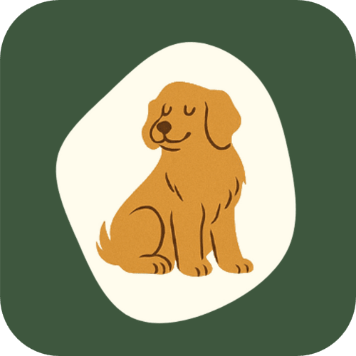 Golden retriever with head tilted slightly to the side on a cream abstract background.