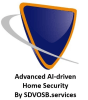 https://SDVOSB.services