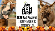 AH Farm