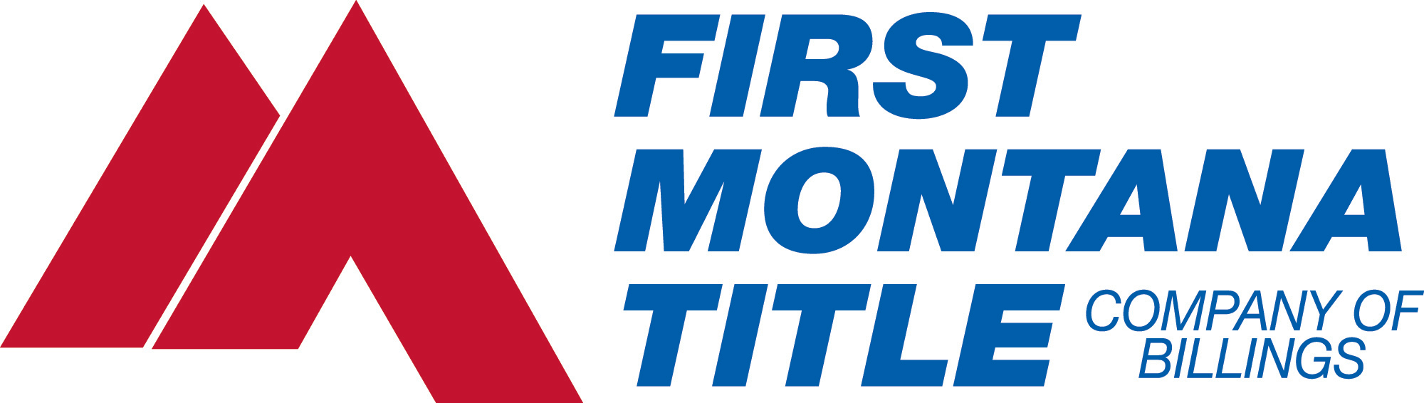 FMT Logo