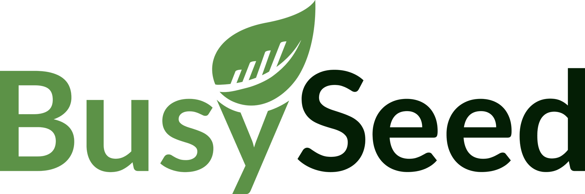 BusySeed, Inc. logo