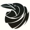 Ravenstreet Partners Digital Marketing Logo
