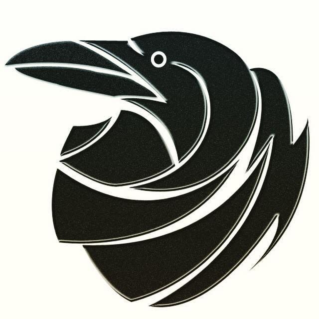 Ravenstreet Partners Digital Marketing Logo