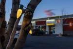 Professional Christmas light installation on a McDonald's restaurant, featuring clean lines of warm white LED rooflines.