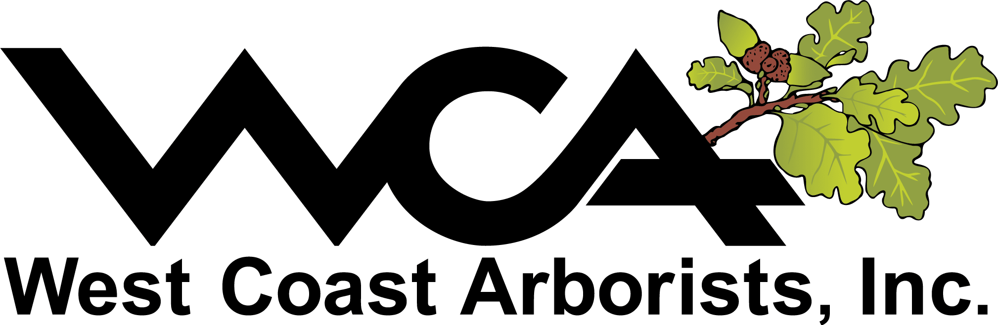 WCA Logo