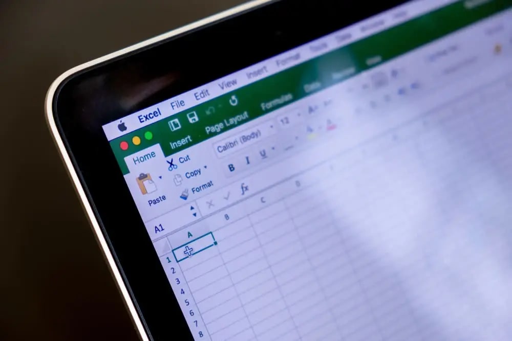photo of Excel spreadsheet