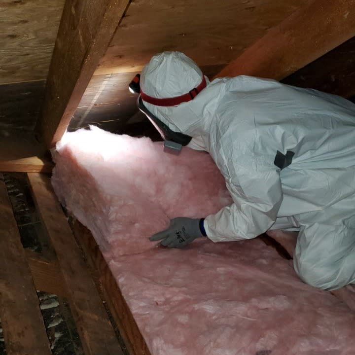 Attic insulation installation improving energy efficiency and comfort