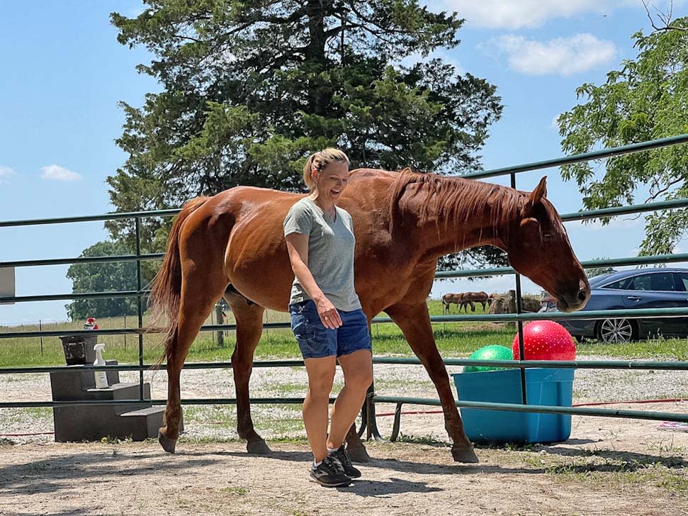 Woman walking alongside a chestnut horse inside a round pen on a sunny day, the horse is calmly guiding her.