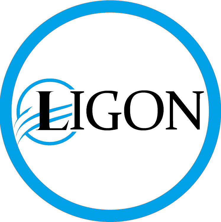 The Ligon Group