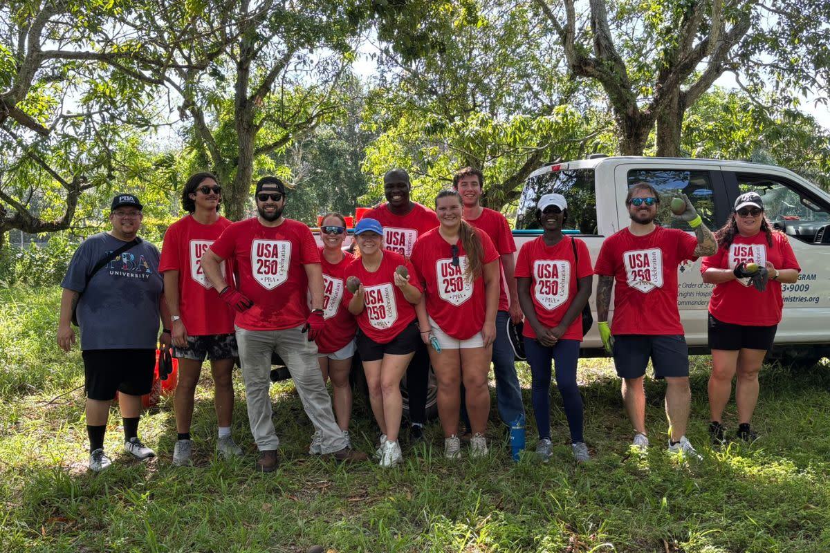 Staff from Palm Beach Atlantic University glean mangoes to support families in need.