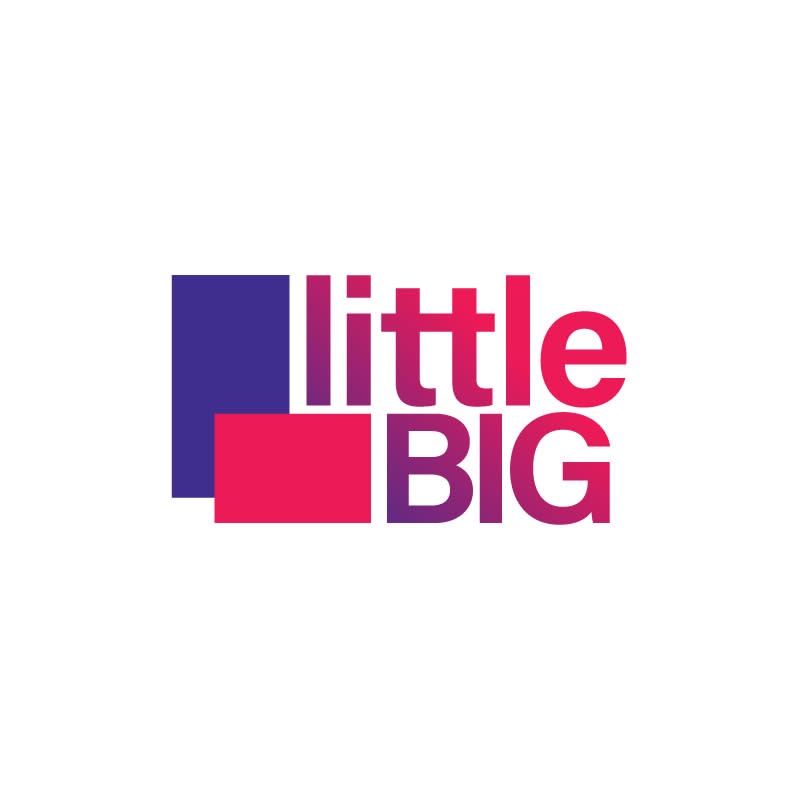 LittleBig Digital Marketing Logo