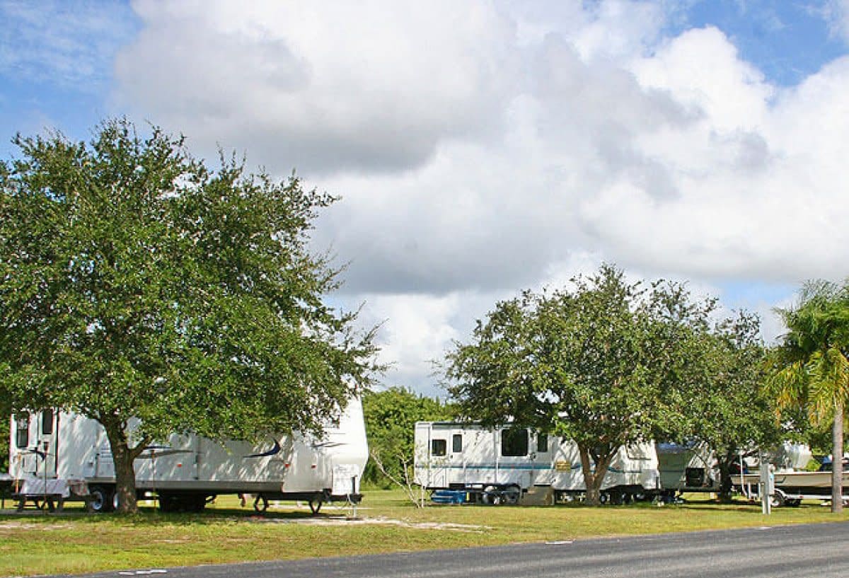 Recreational vehicles parked under shade trees at RV resort