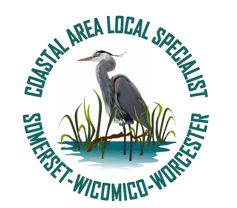 CALS Logo