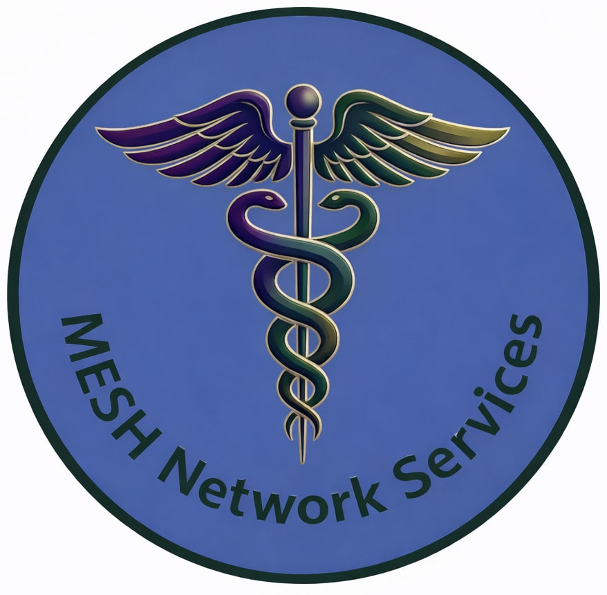 MESH Network Services Labs
