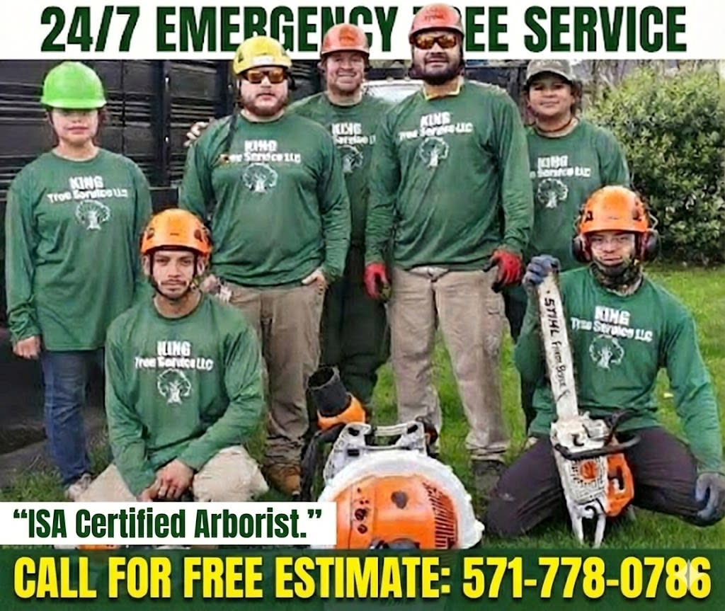 King Tree Services crew equipped for 24/7 emergency tree service in Manassas, led by an ISA Certified Arborist.