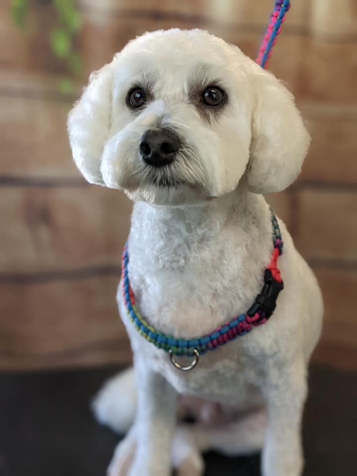 East Hill Veterinary Clinic - Willits, CA