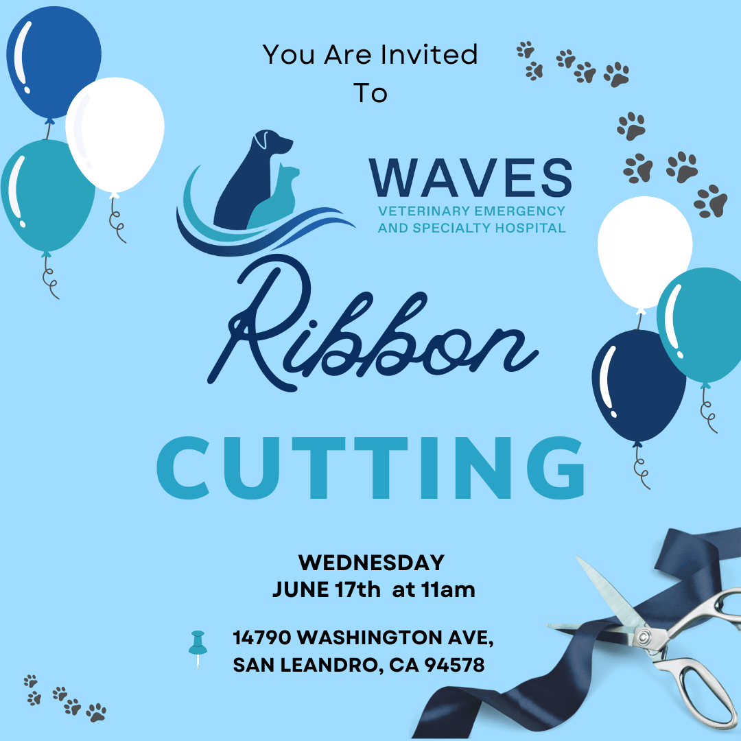 Ribbon Cutting Celebration: WAVES Emergency & Specialty Hospital at WAVES Veterinary Specialty & Emergency