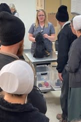 Breeders join Petland Chief Veterinary Officer Dr. Rebecca Atwood as she conducts an intake exam for a new puppy, explaining the company’s expectations when it comes to the health of incoming puppies, and answering their questions.