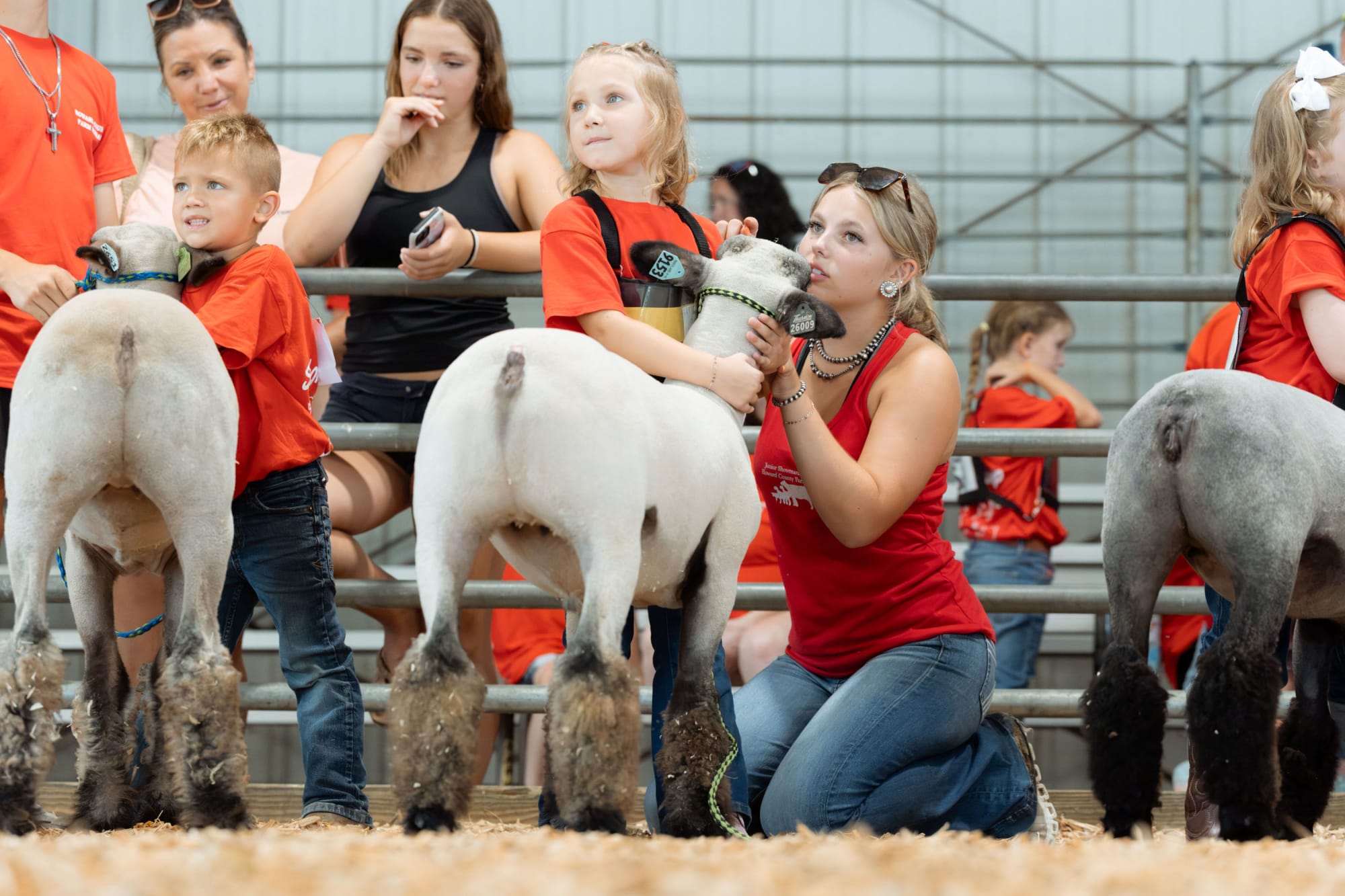 Jaidyn and Marlee Mantua parcipate in Junior Showmanship at the Howard County Fair