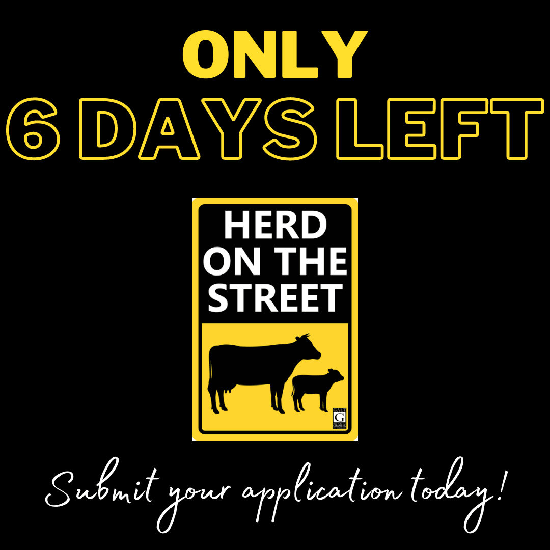 Only 6 Days Left for Herd on the Street Sponsorship!