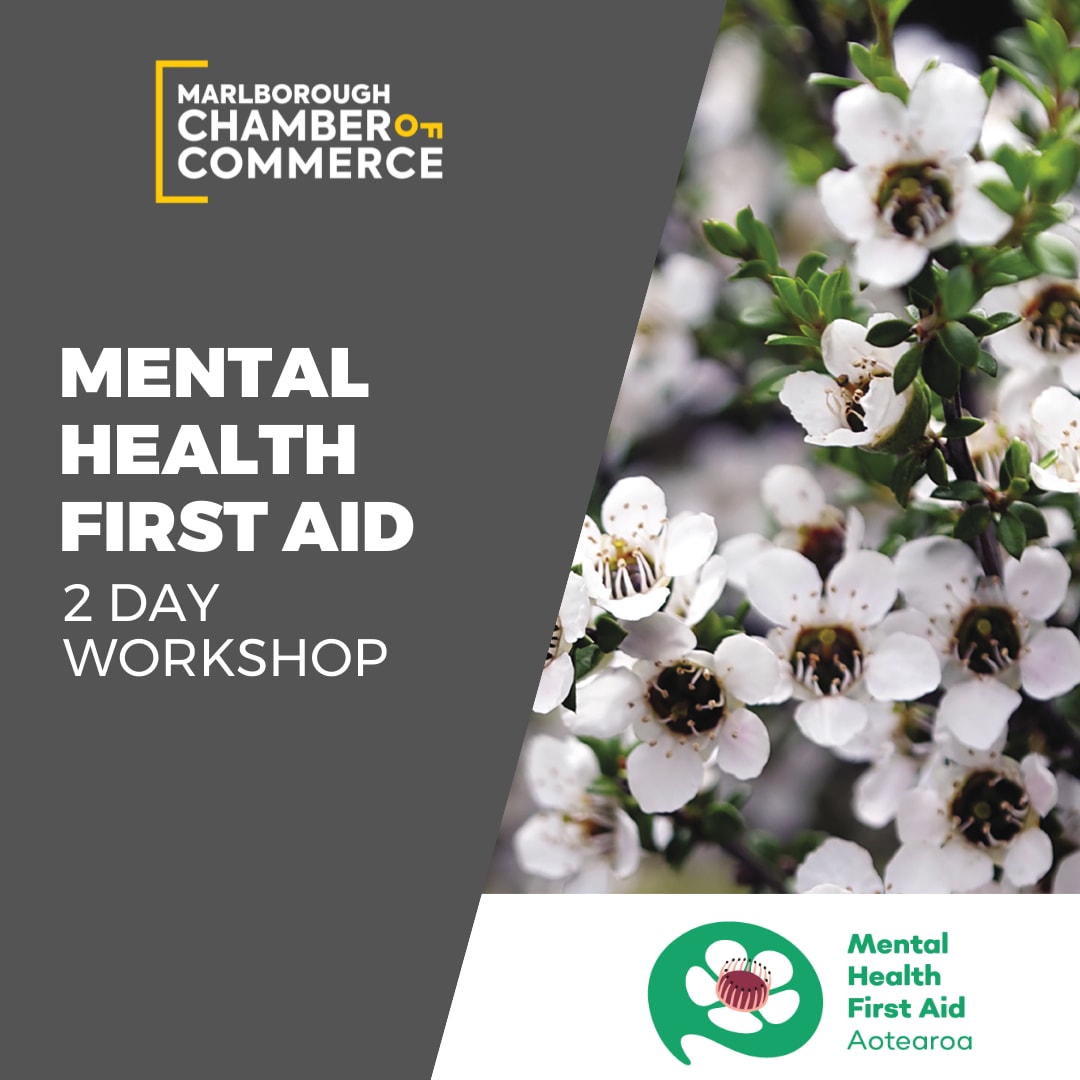 Mental Health First Aider