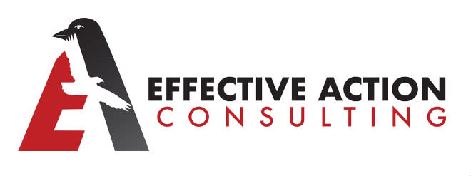 Effective Action Consulting logo